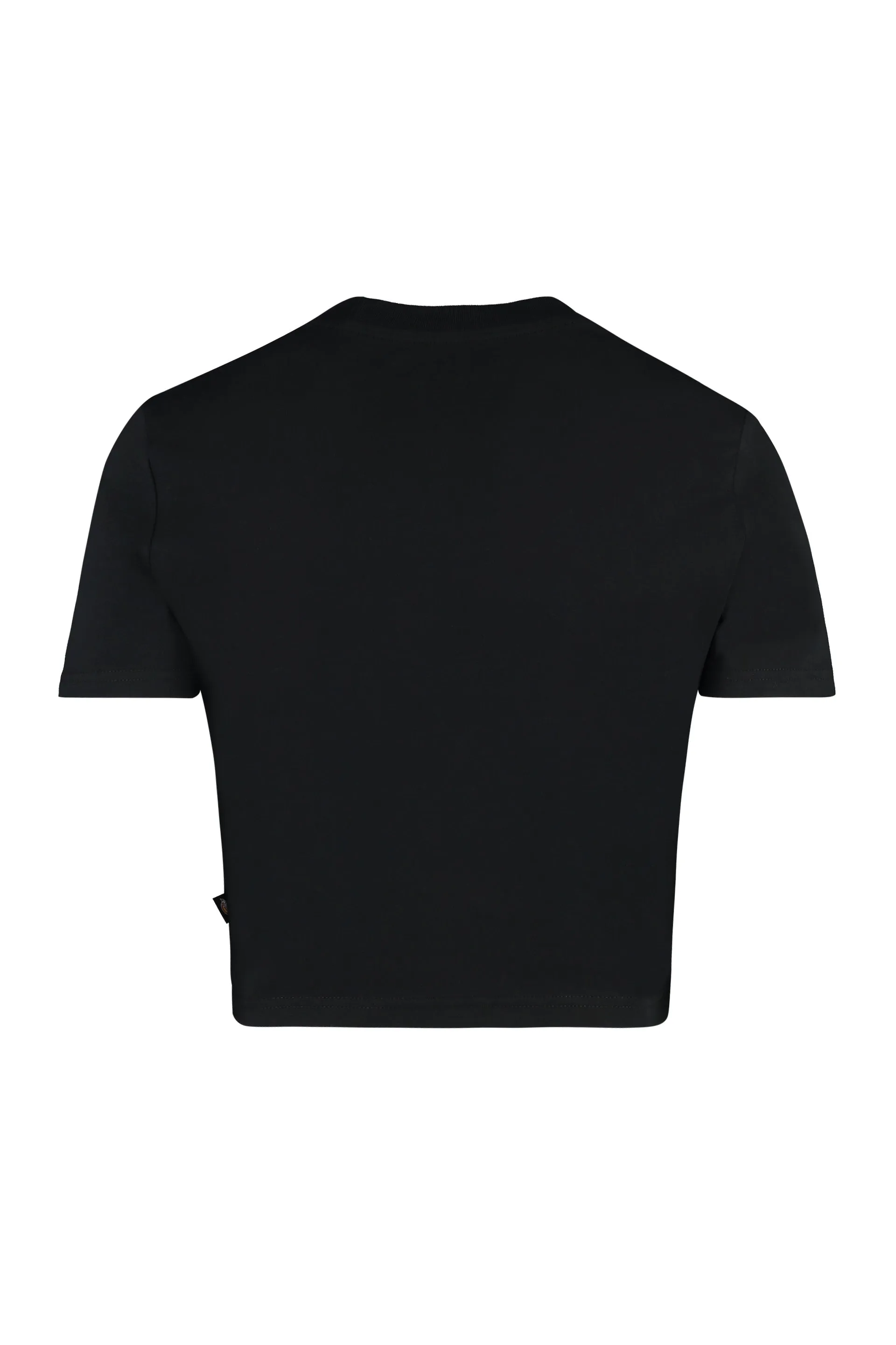 Dickies T-shirt crop Maple Valley con logo