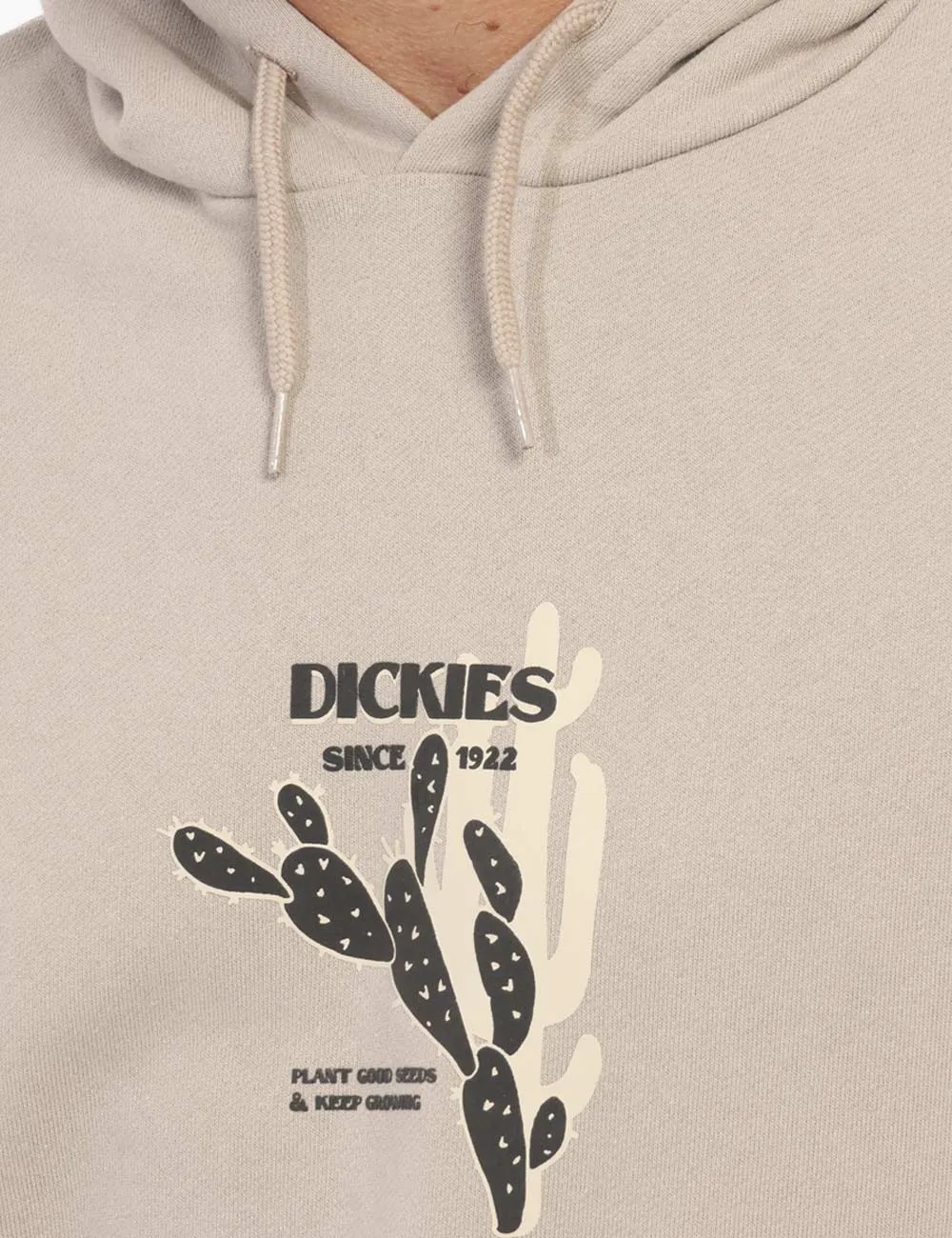 Felpa DICKIES Beige