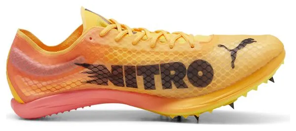 Scarpe da atletica leggera Puma evoSPEED Distance Nitro Elite+ 4 Orange Pink Uomo