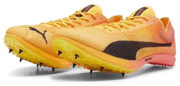 Scarpe da atletica leggera Puma evoSPEED Distance Nitro Elite+ 4 Orange Pink Uomo